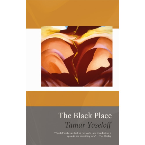 Poetry Wales Press The Black Place (häftad, eng)