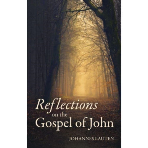 Floris Books Reflections on the Gospel of John (häftad, eng)