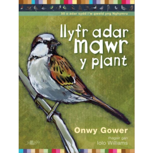 Y Lolfa Llyfr Adar Mawr y Plant (häftad, wel)