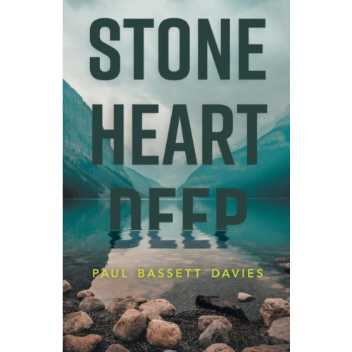 Eye Books Stone Heart Deep (häftad, eng)