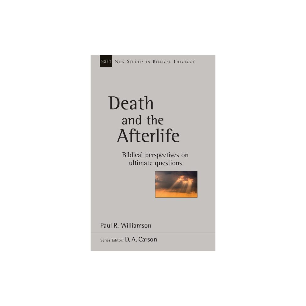 Produktbild för Death and the Afterlife (häftad, eng)
