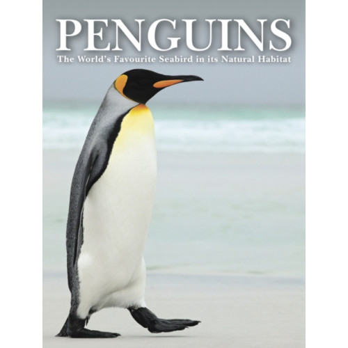 Amber Books Ltd Penguins (inbunden, eng)