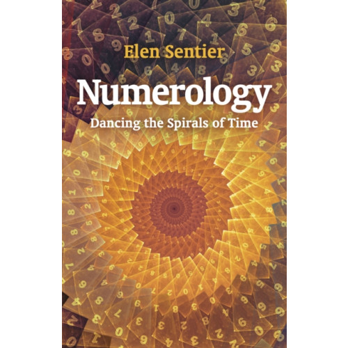 Collective Ink Numerology (häftad, eng)