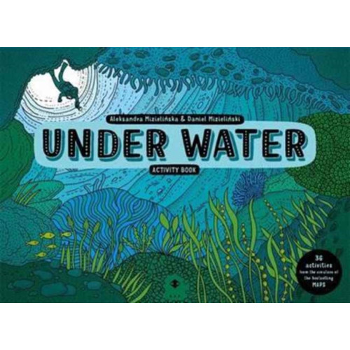 Templar Publishing Under Water Activity Book (häftad, eng)