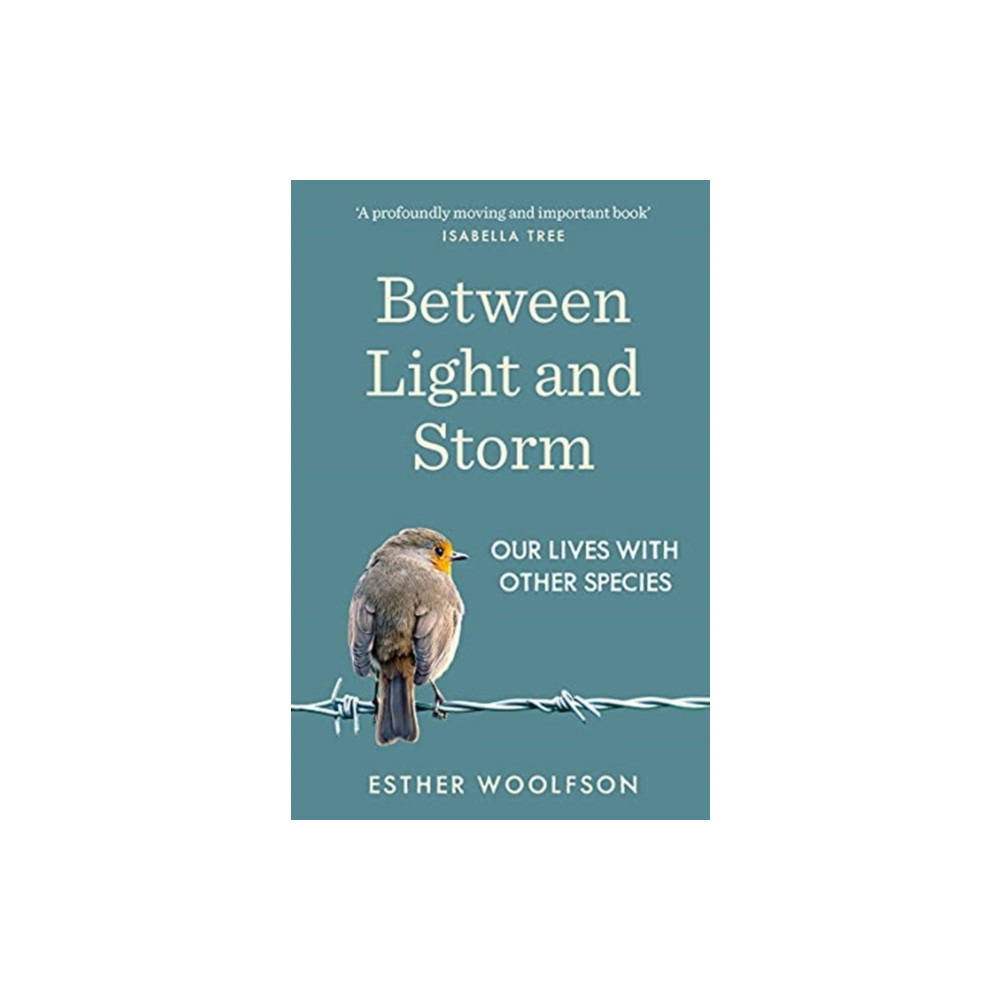 Produktbild för Between Light and Storm (häftad, eng)