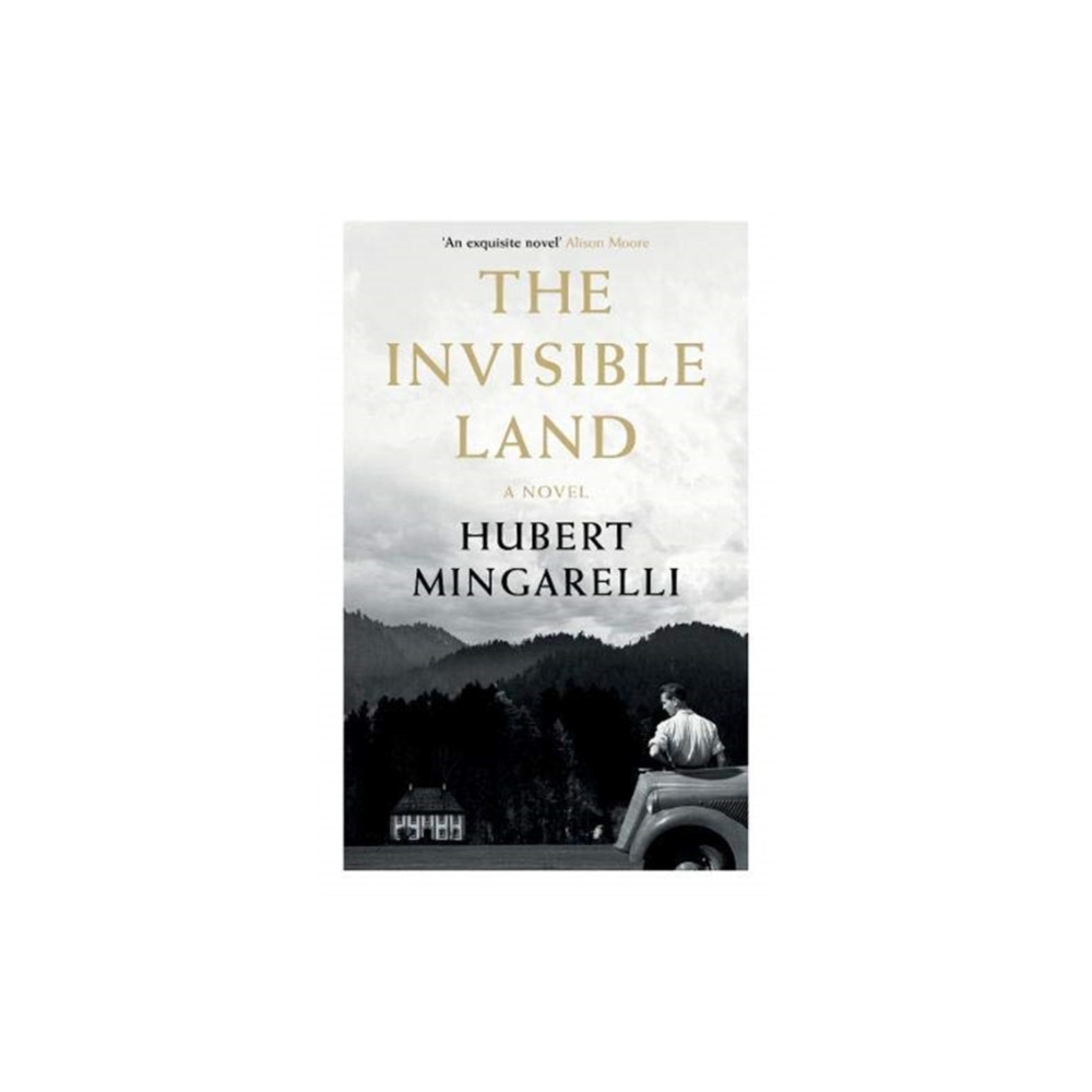 Produktbild för The Invisible Land (häftad, eng)