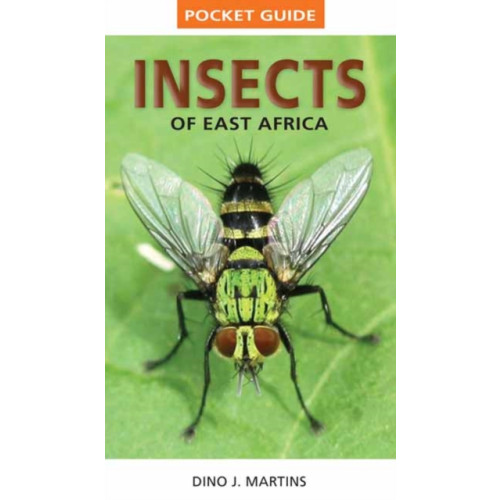 Penguin Random House South Africa Pocket Guide Insects of East Africa (häftad, eng)