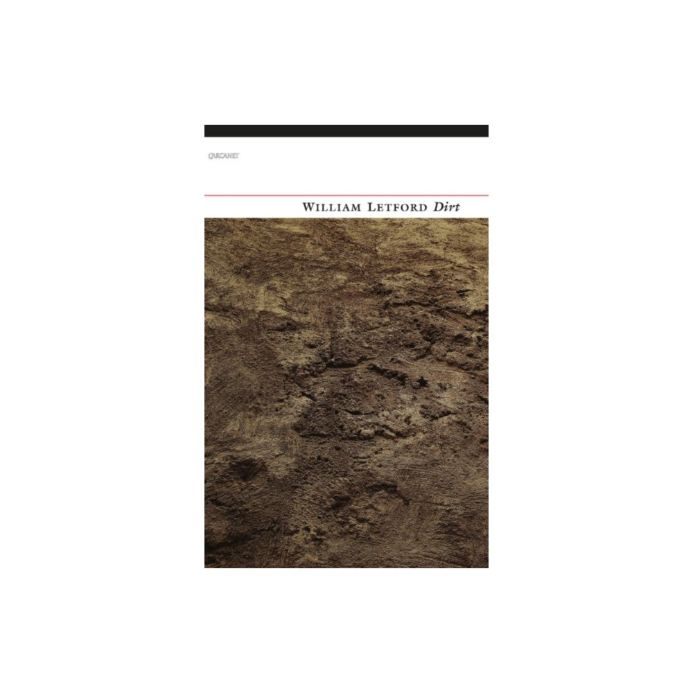 Produktbild för Dirt (häftad, eng)
