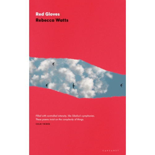 Carcanet Press Ltd Red Gloves (häftad, eng)