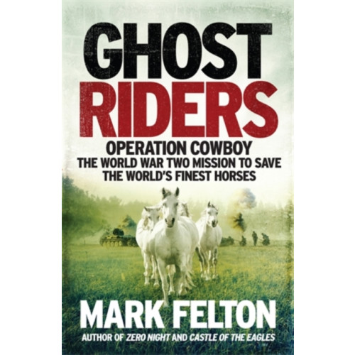 Icon Books Ghost Riders (inbunden, eng)