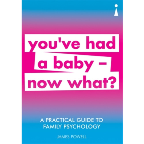 Icon Books A Practical Guide to Family Psychology (häftad, eng)