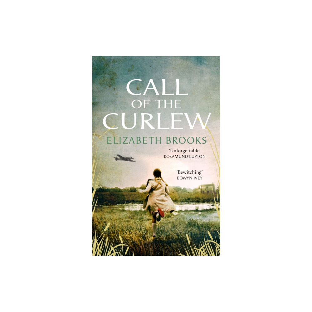 Produktbild för Call of the Curlew (häftad, eng)