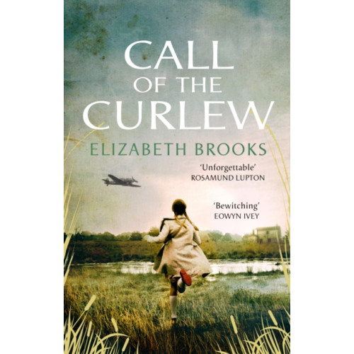 Transworld publishers ltd Call of the Curlew (häftad, eng)