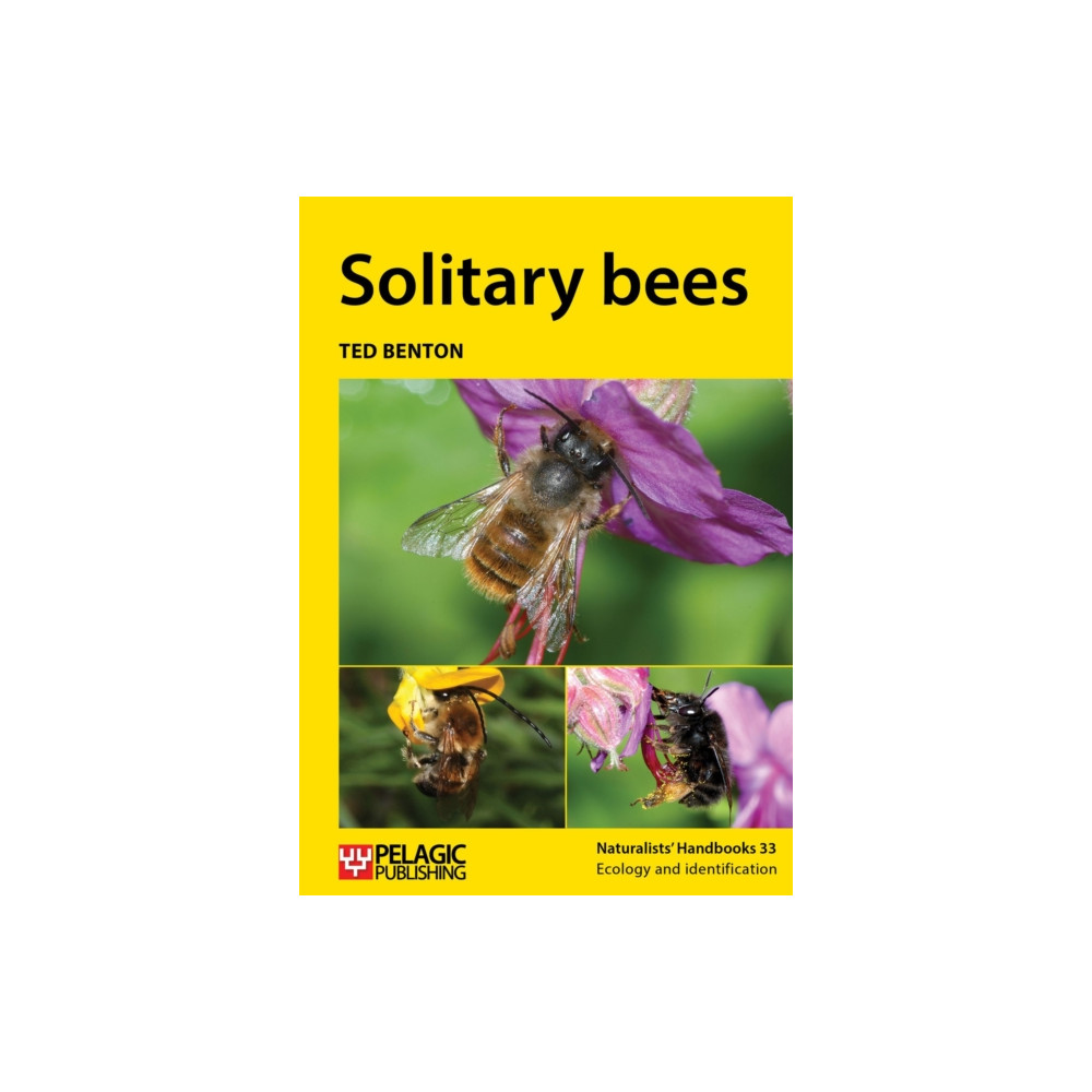 Produktbild för Solitary bees (häftad, eng)
