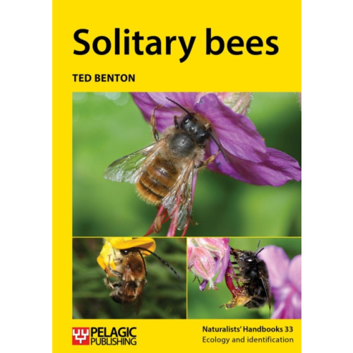 Pelagic Publishing Solitary bees (häftad, eng)