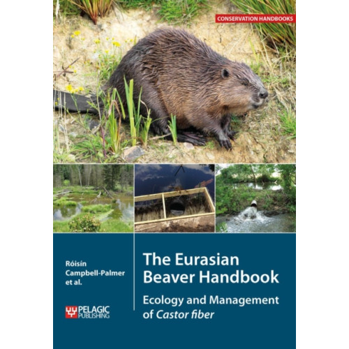 Pelagic Publishing The Eurasian Beaver Handbook (häftad, eng)