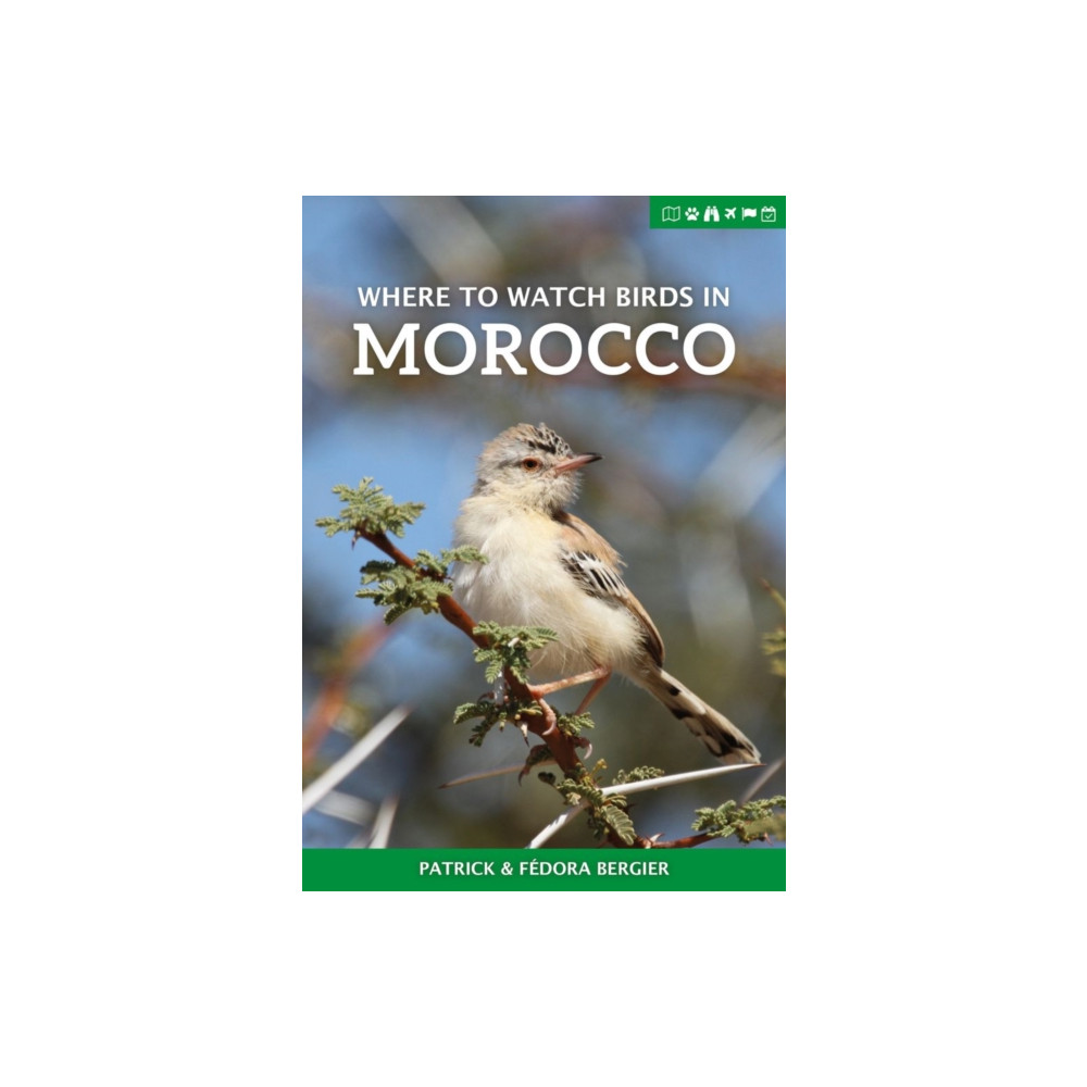 Produktbild för Where to Watch Birds in Morocco (häftad, eng)