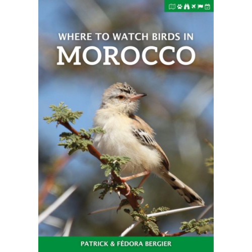 Pelagic Publishing Where to Watch Birds in Morocco (häftad, eng)