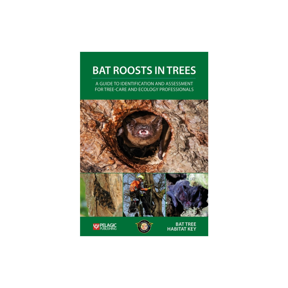 Produktbild för Bat Roosts in Trees (häftad, eng)