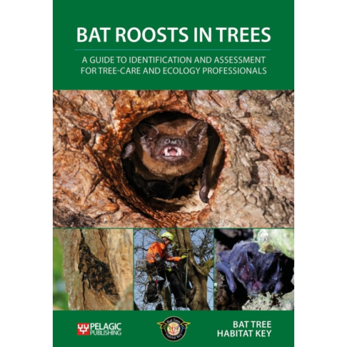 Pelagic Publishing Bat Roosts in Trees (häftad, eng)