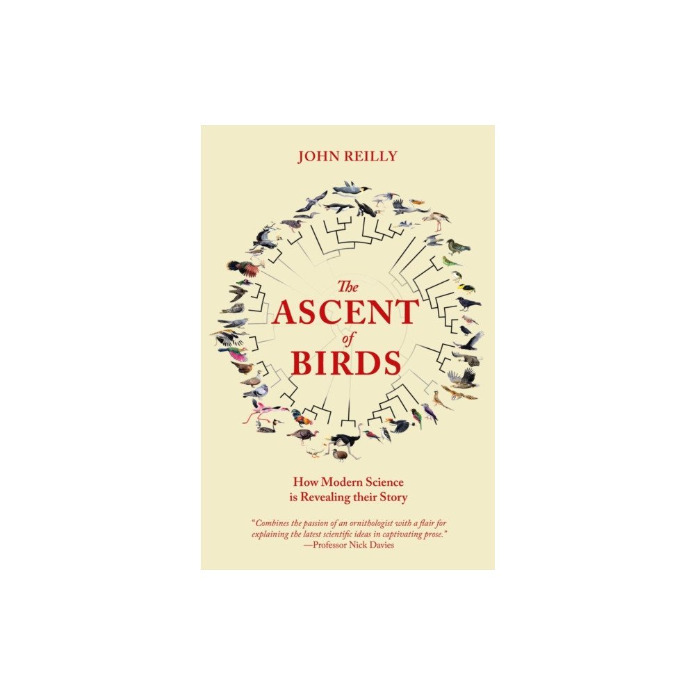 Produktbild för The Ascent of Birds (häftad, eng)