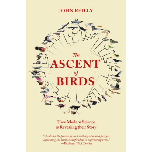 Pelagic Publishing The Ascent of Birds (häftad, eng)