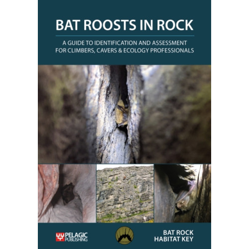 Pelagic Publishing Bat Roosts in Rock (häftad, eng)