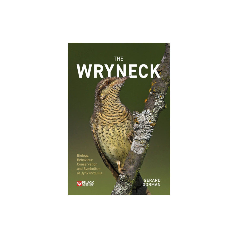 Produktbild för The Wryneck (häftad, eng)