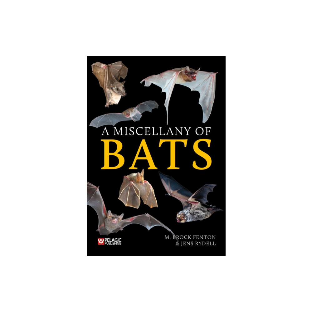 Produktbild för A Miscellany of Bats (häftad, eng)