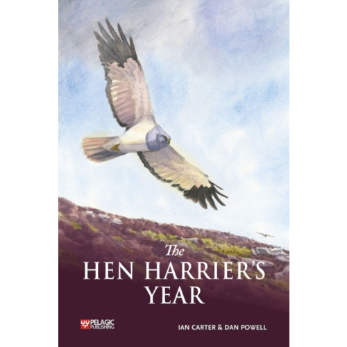 Pelagic Publishing The Hen Harrier's Year (häftad, eng)