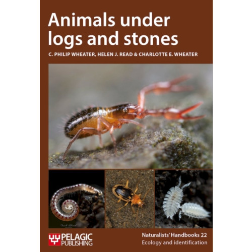 Pelagic Publishing Animals under logs and stones (häftad, eng)