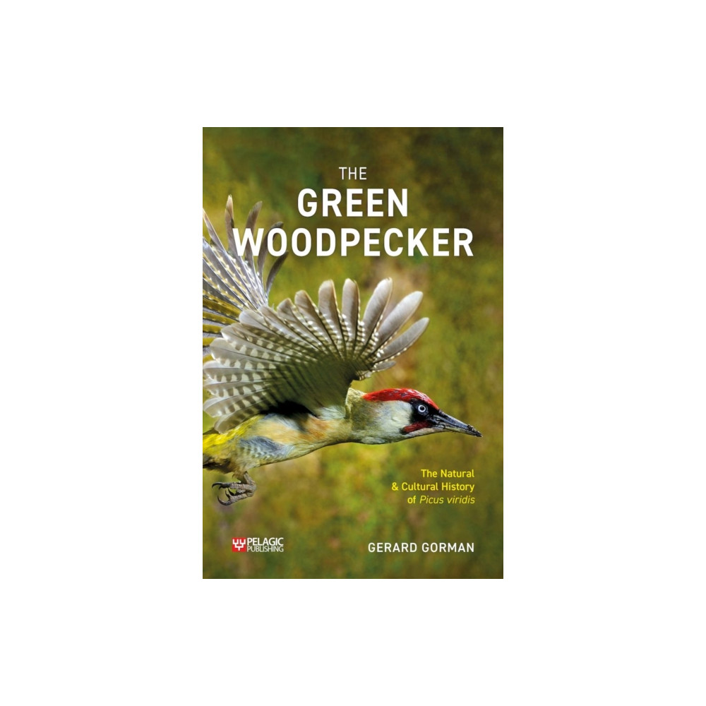 Produktbild för The Green Woodpecker (häftad, eng)