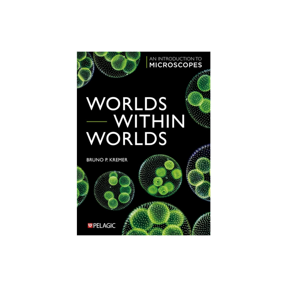 Produktbild för Worlds within Worlds (häftad, eng)