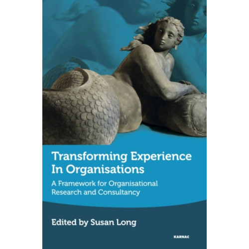 Taylor & francis ltd Transforming Experience in Organisations (häftad, eng)