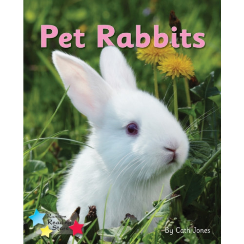 Ransom Publishing Pet Rabbits (häftad, eng)