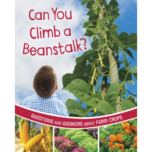 Capstone Global Library Ltd Can You Climb a Beanstalk? (inbunden, eng)