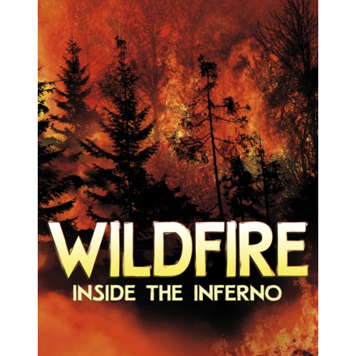 Capstone Global Library Ltd Wildfire, Inside the Inferno (häftad, eng)