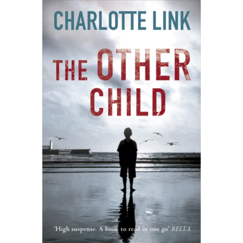 Orion Publishing Co The Other Child (häftad, eng)