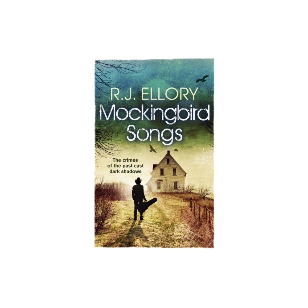 Produktbild för Mockingbird Songs (häftad, eng)