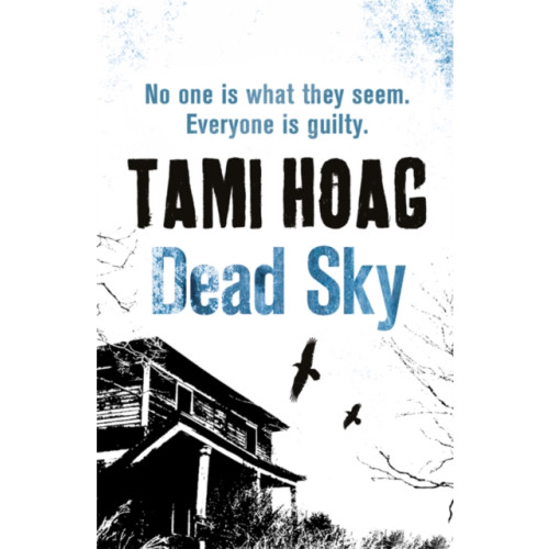 Orion Publishing Co Dead Sky (häftad, eng)