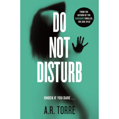 Orion Publishing Co Do Not Disturb (häftad, eng)
