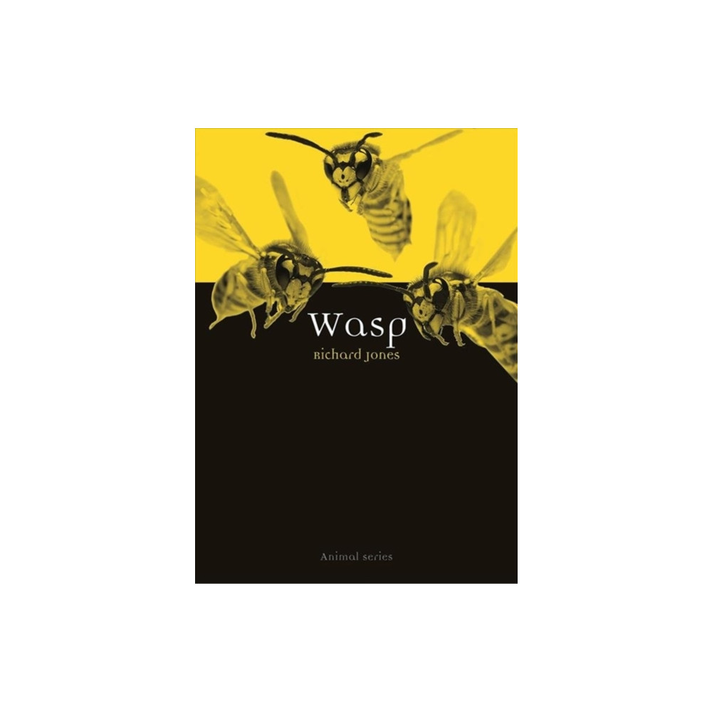 Produktbild för Wasp (häftad, eng)