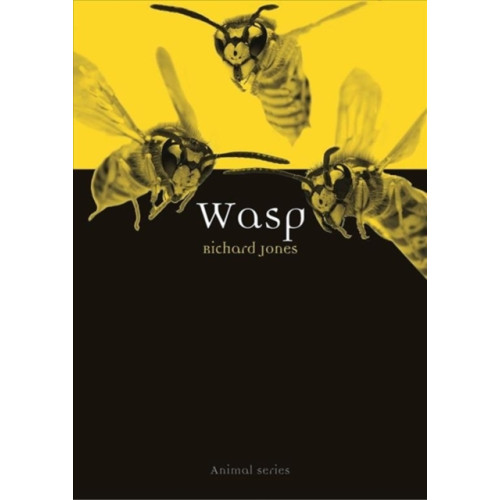 Reaktion Books Wasp (häftad, eng)