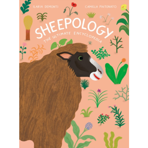 Chronicle Books Sheepology (inbunden, eng)