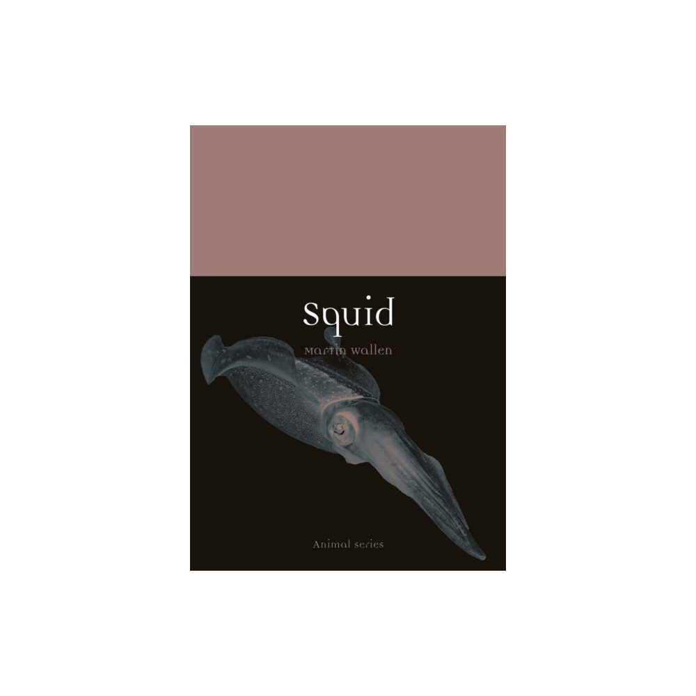 Produktbild för Squid (häftad, eng)