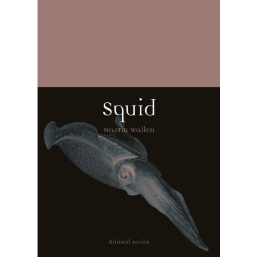 Reaktion Books Squid (häftad, eng)