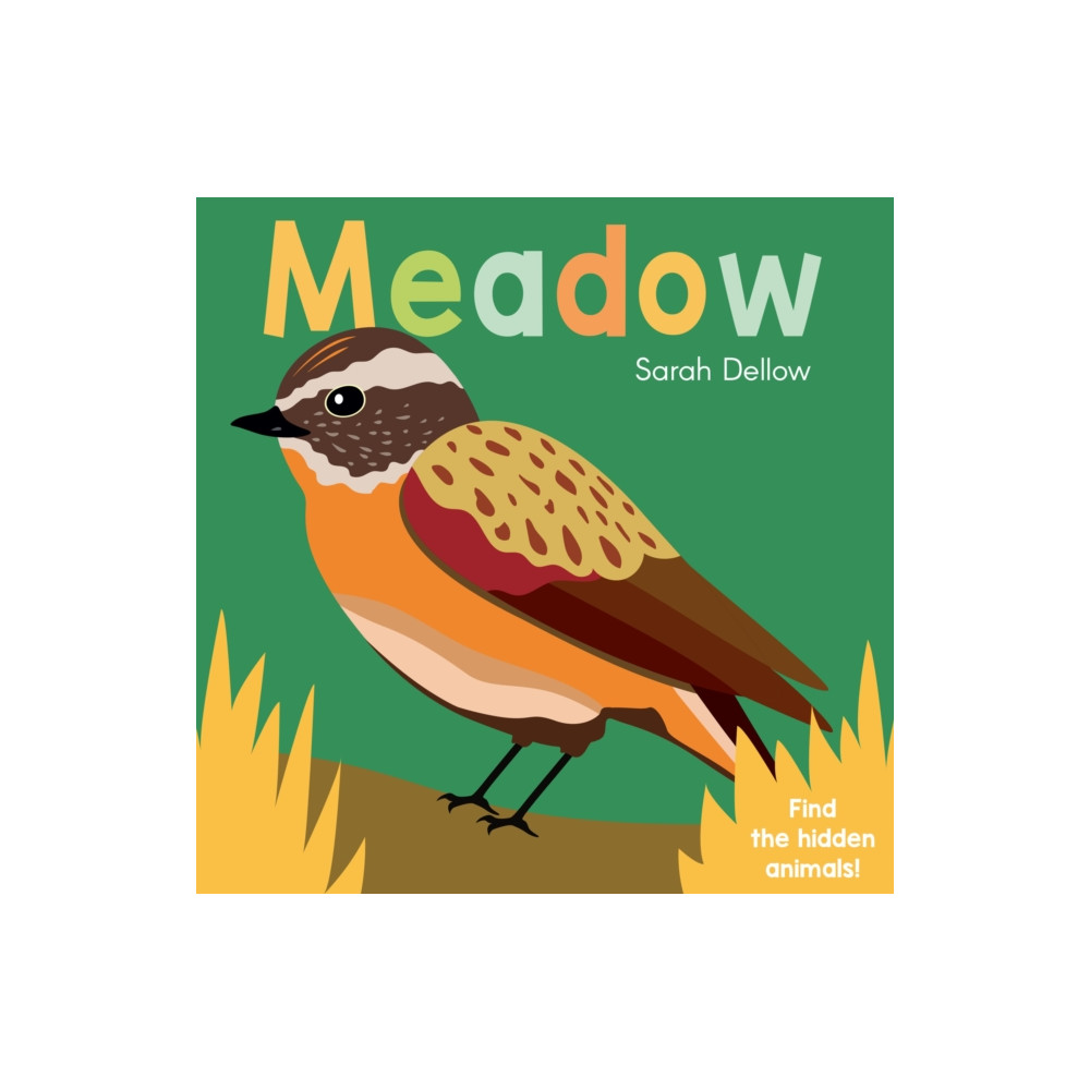 Produktbild för Now you See It! Meadow (bok, board book, eng)