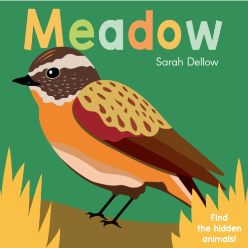 Child's Play International Ltd Now you See It! Meadow (bok, board book, eng)
