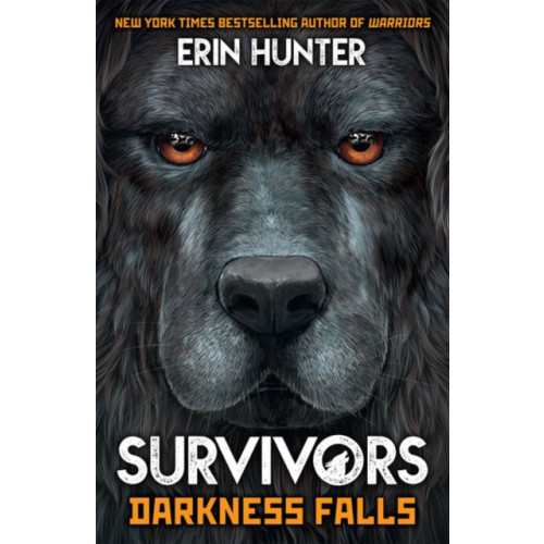 Gemini Books Group Ltd Survivors Book 3: Darkness Falls (häftad, eng)