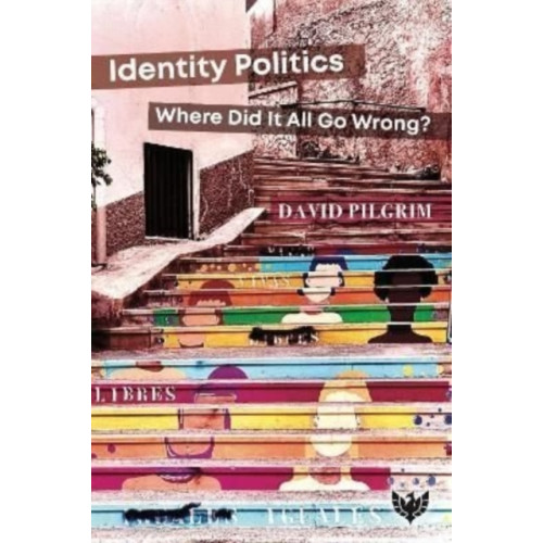 Karnac Books Identity Politics (häftad, eng)